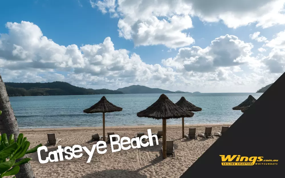 Catseye Beach