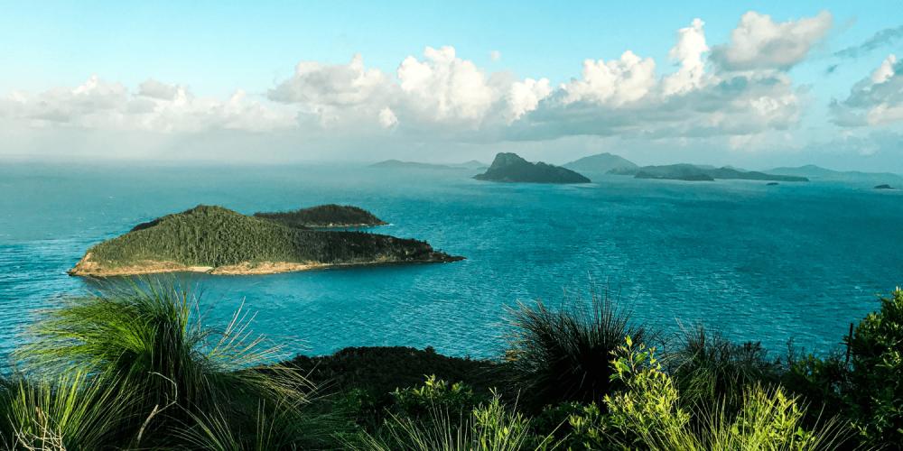 Hamilton Island Guide