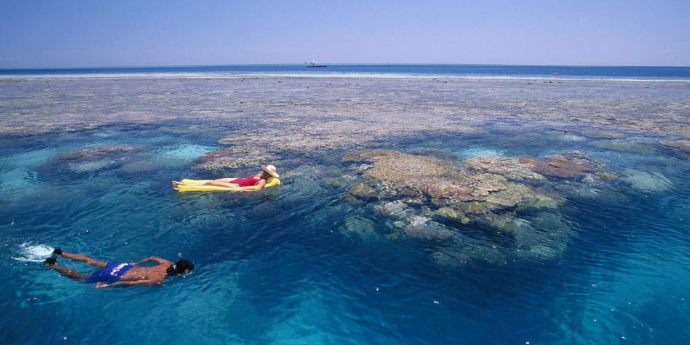 Haslewood Island Snorkelling Guide