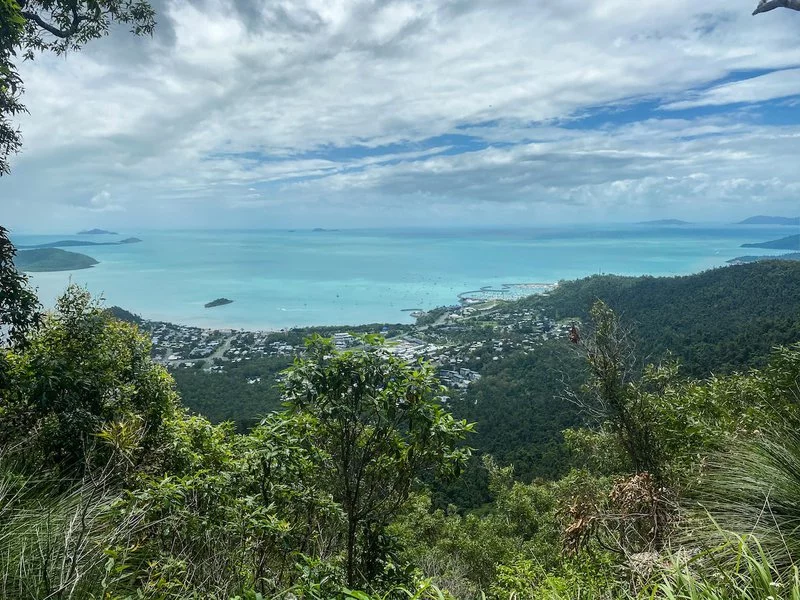 Honeyeater Lookout