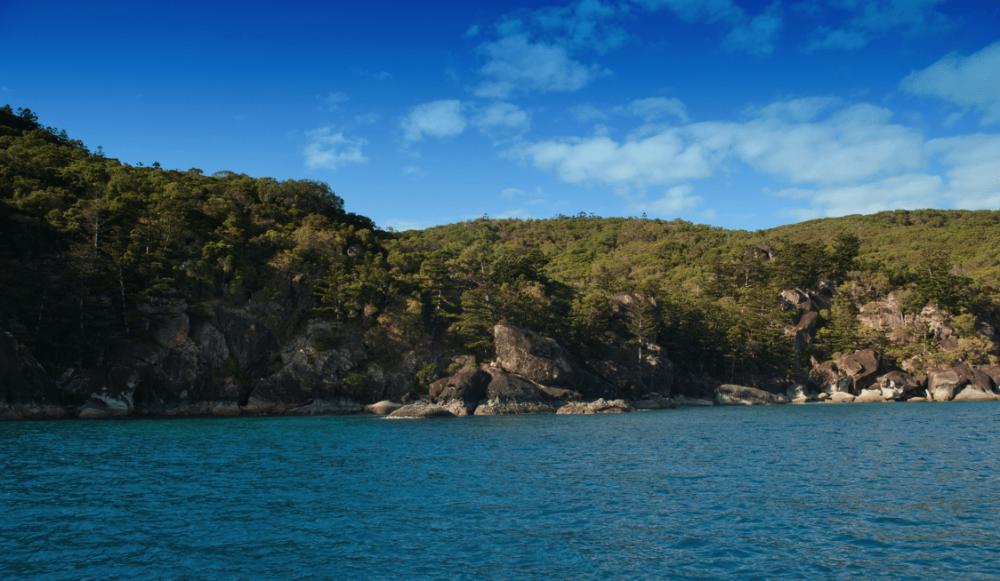 Pentecost Island Guide
