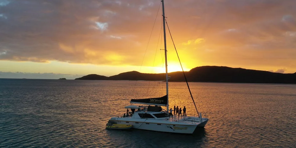 Whitsundays Catamarans - Discover Wings Fleet