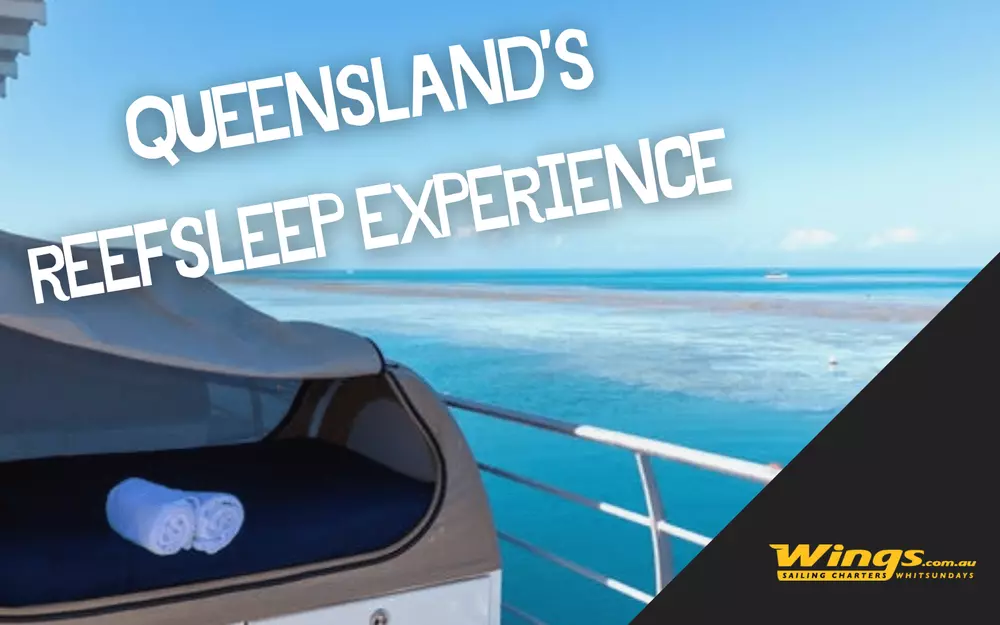 To-Do-Great-Barrier-Reef-3.max-1000x1000.webp