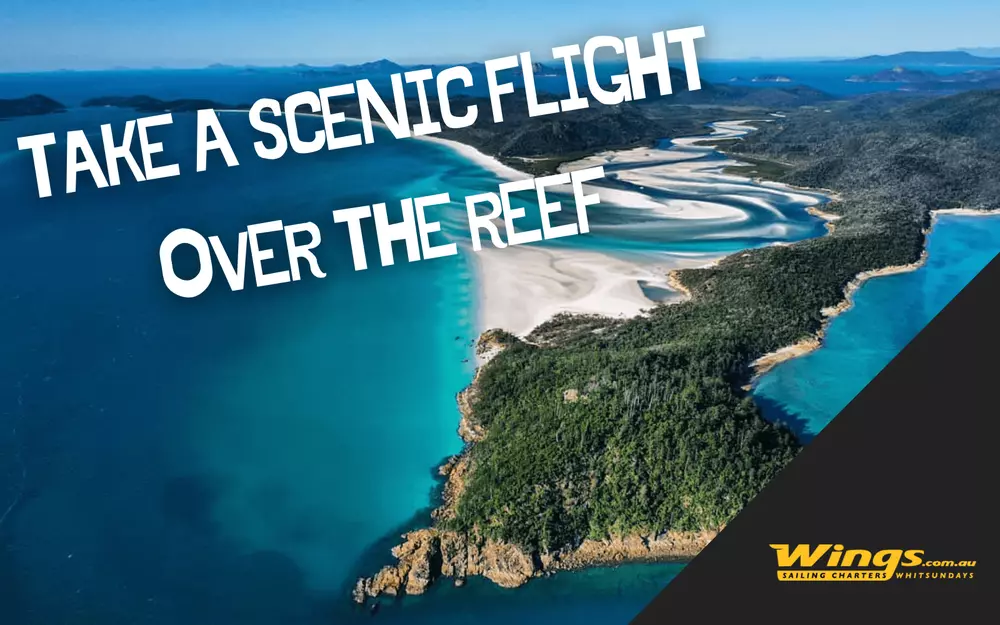 To-Do-Great-Barrier-Reef-4.max-1000x1000.webp