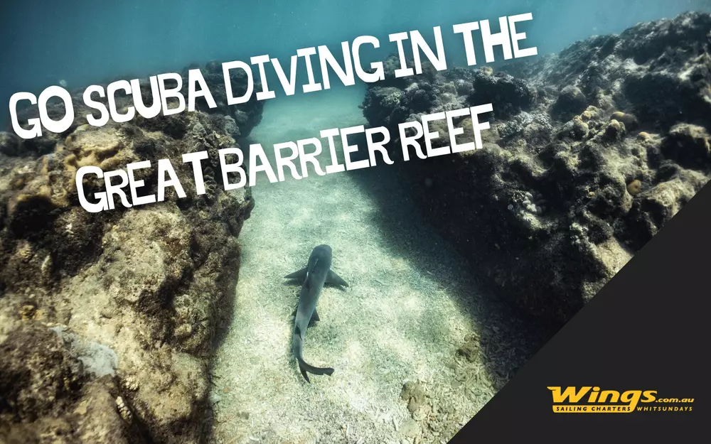 To-Do-Great-Barrier-Reef-5.max-1000x1000.webp
