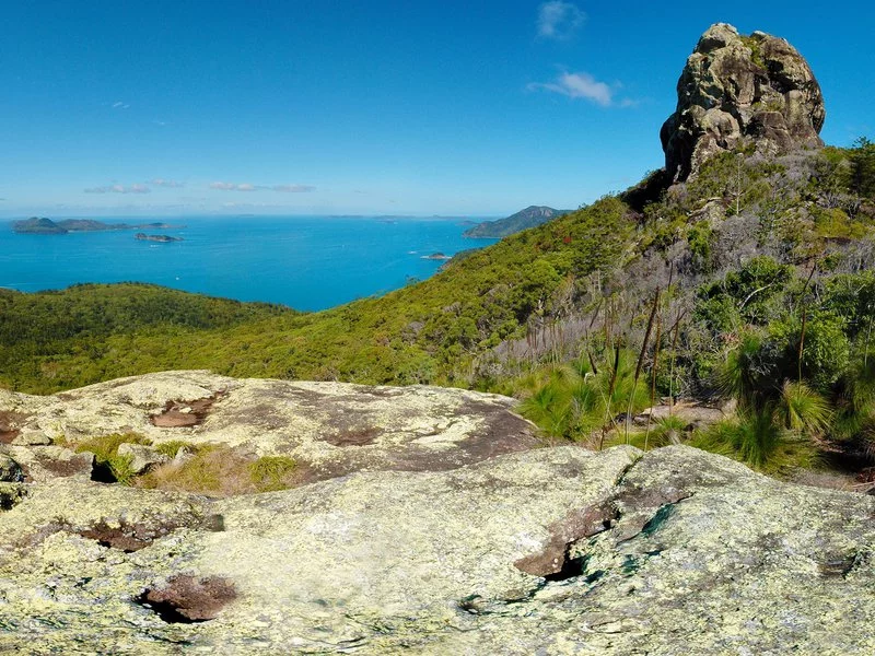 Whitsunday Cairn track