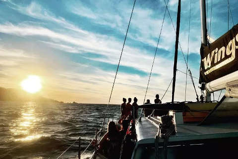 Whitsunday Sailing
