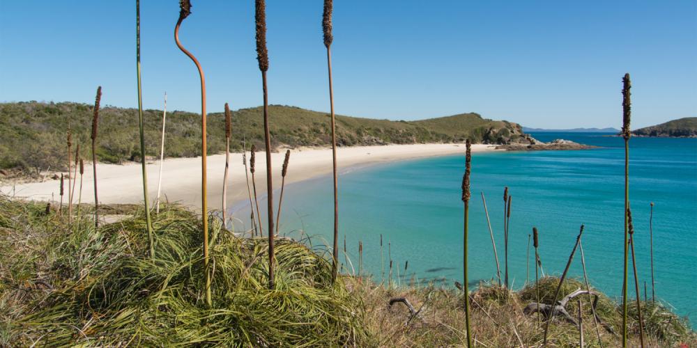 best queensland islands 2 - Keppel island